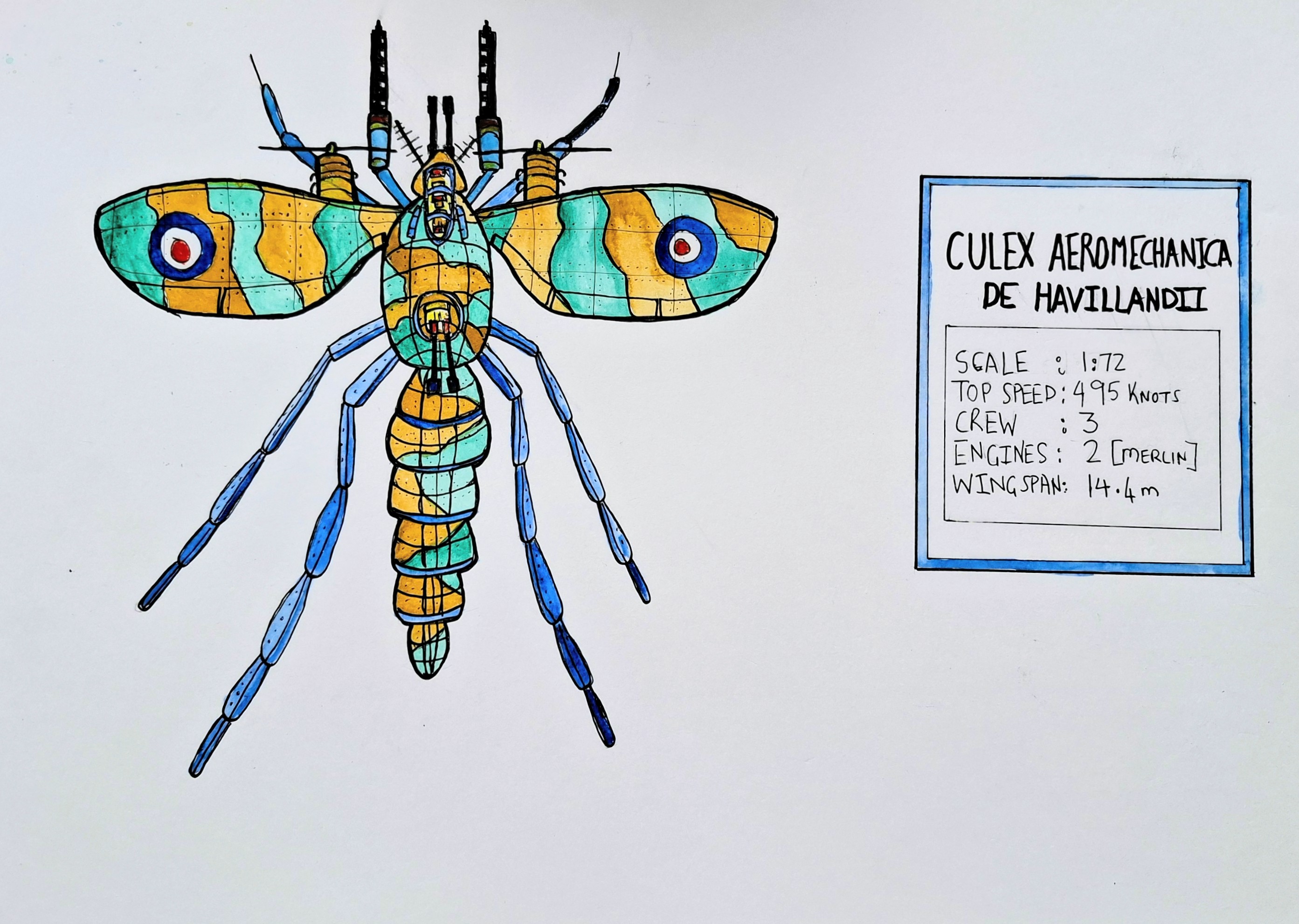 Culex Aeromechanica De Havillandii - watercolour specimen plate of a mosquito as a De Havilland Mosquito, with a data box