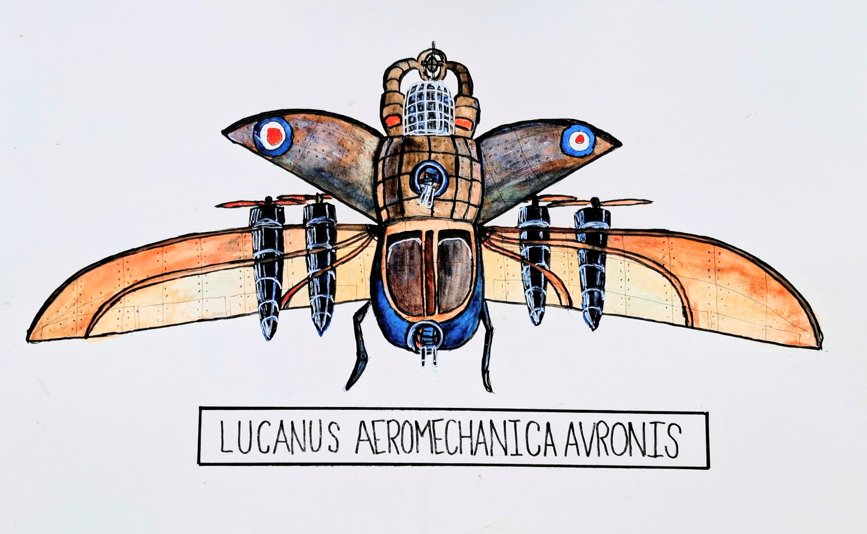 Lucanus Aeromechanica Avronis - watercolour specimen plate of a stag beetle on an Avro airframe with RAF roundels