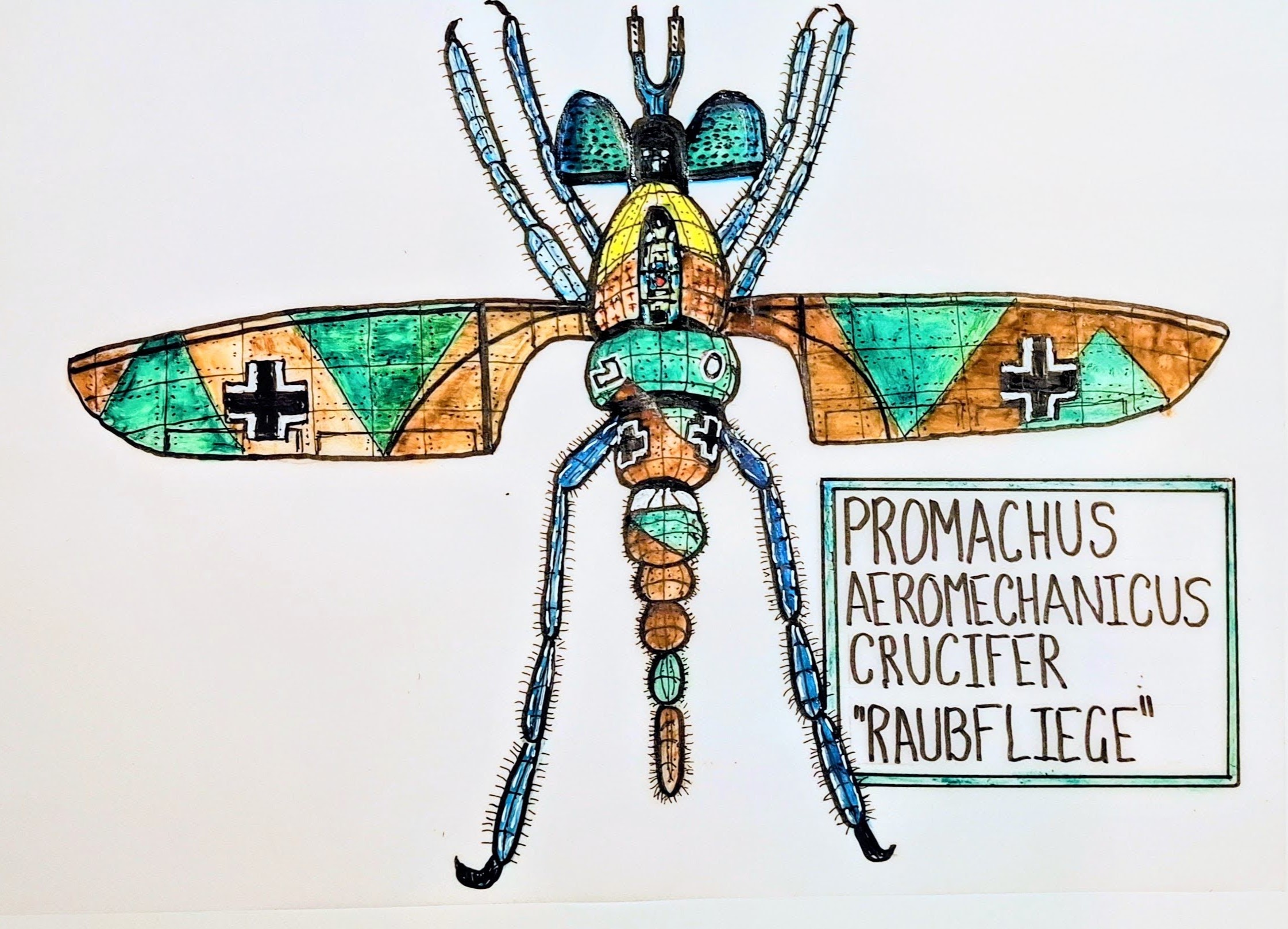Promachus Aeromechanicus Crucifer - watercolour specimen plate of a robber fly in splinter camouflage with Balkenkreuze