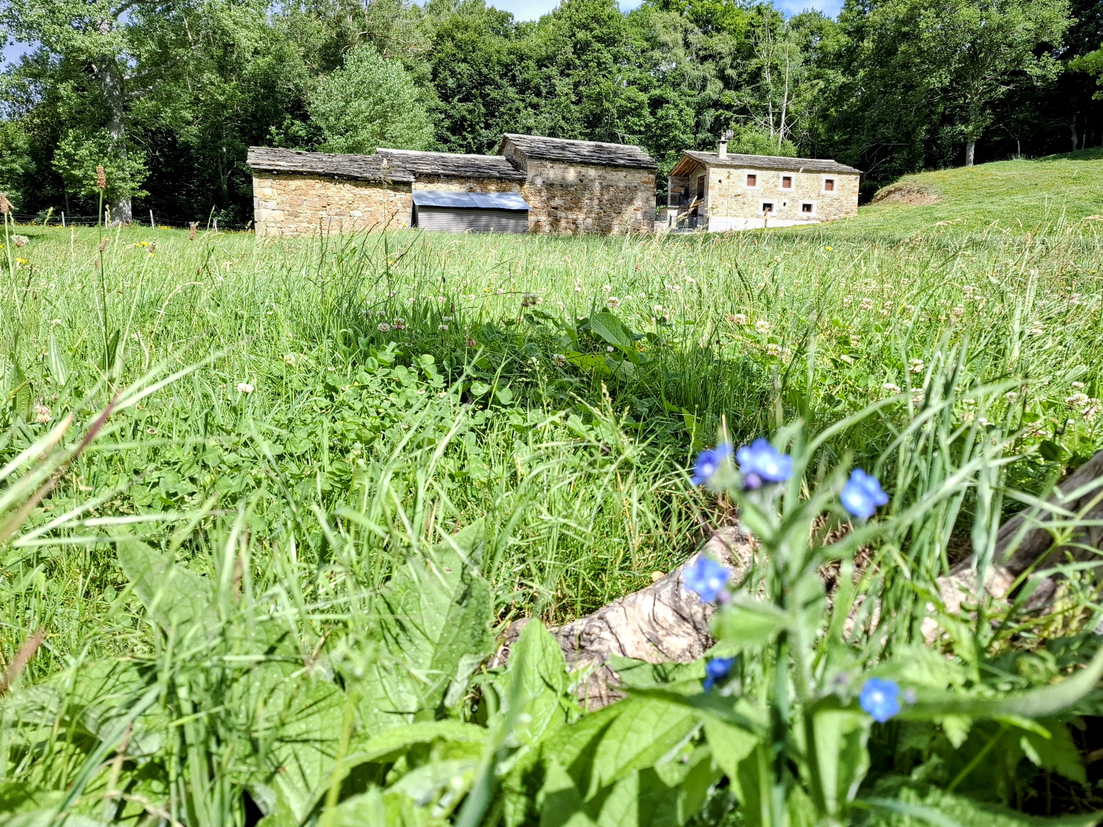 Rural stone buildings in the Cantabrian countryside