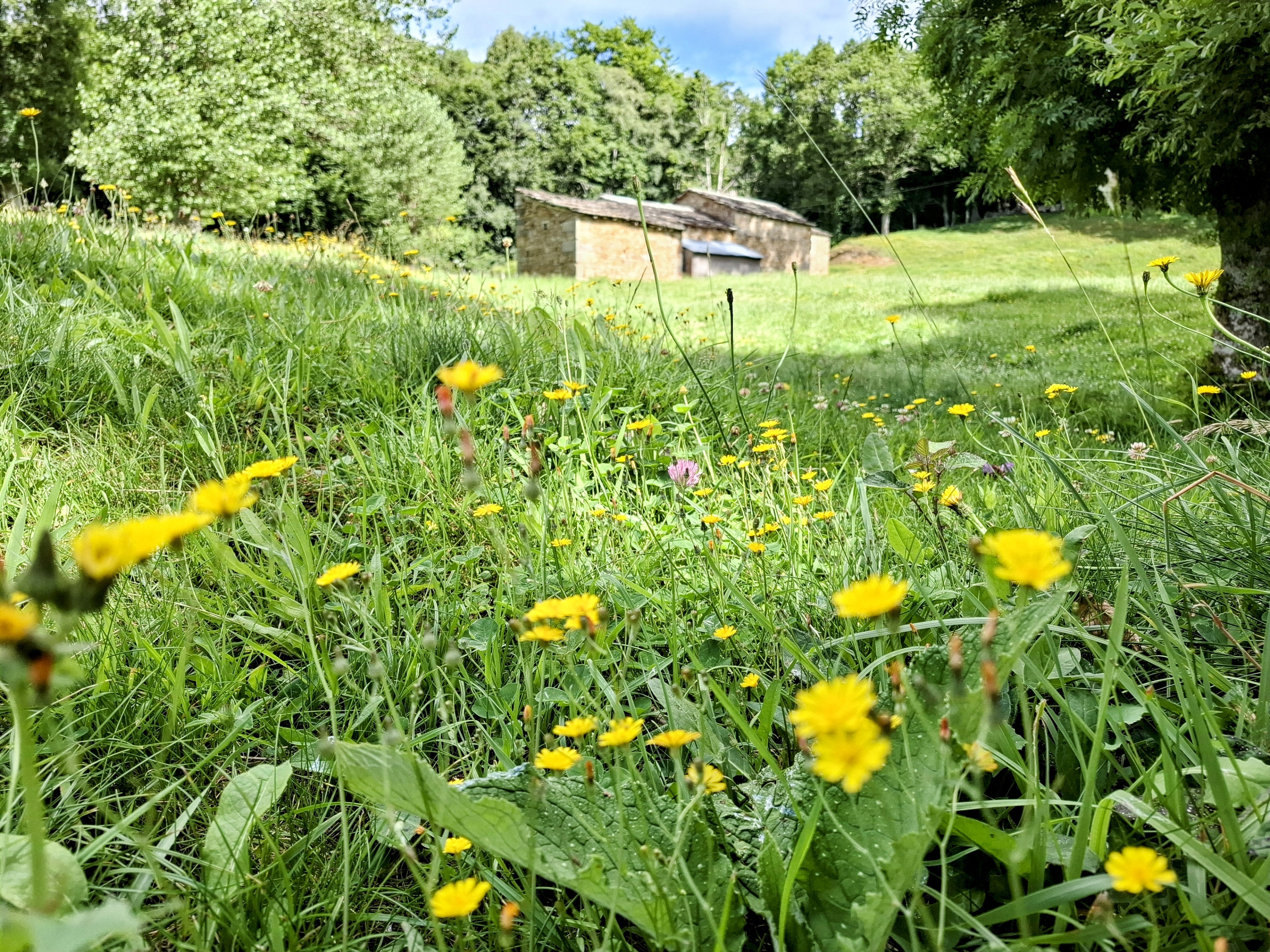 Stone farm buildings set against green hills