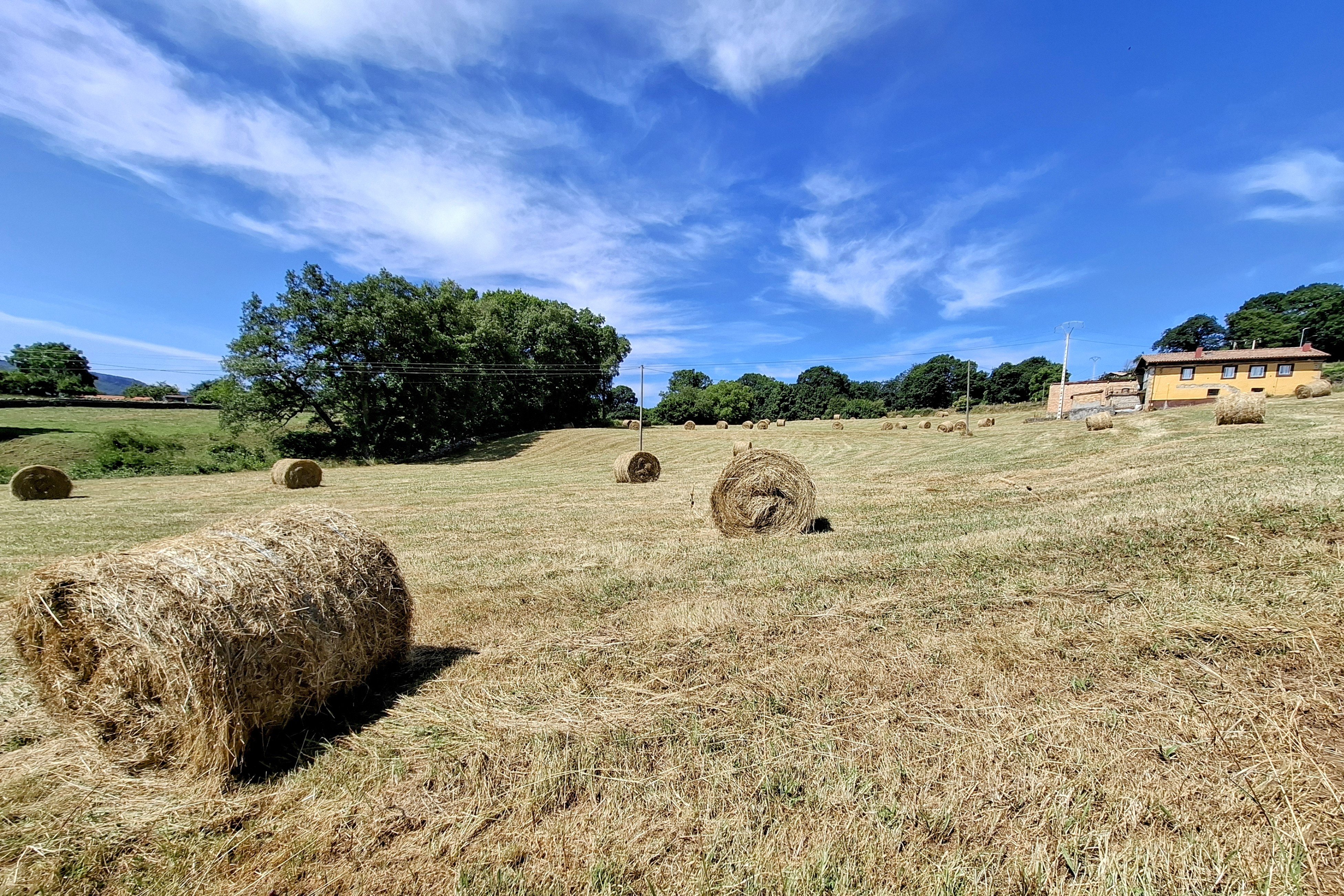 Cantabrian farmstead with surrounding fields