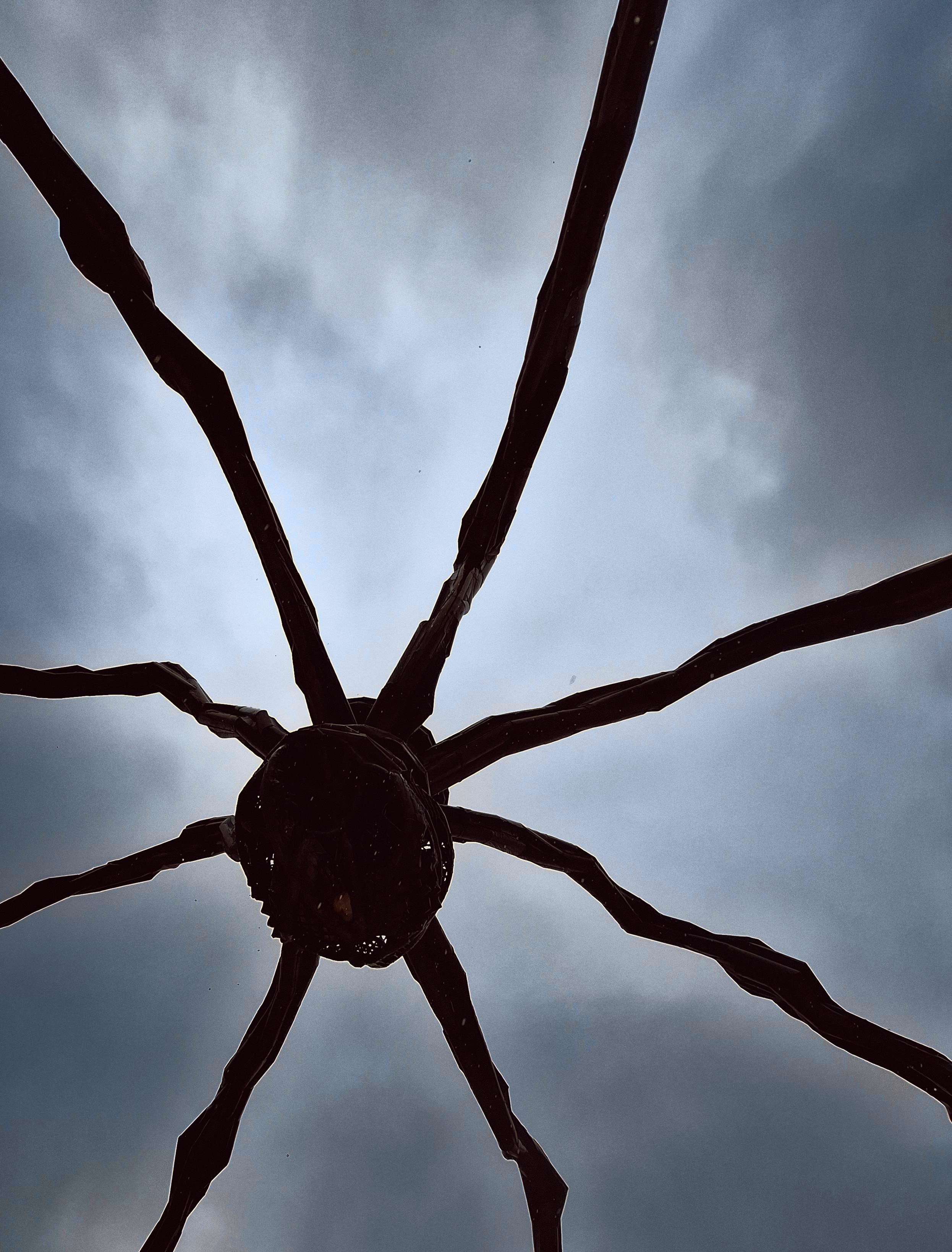 Louise Bourgeois' Maman spider sculpture silhouetted against the sky