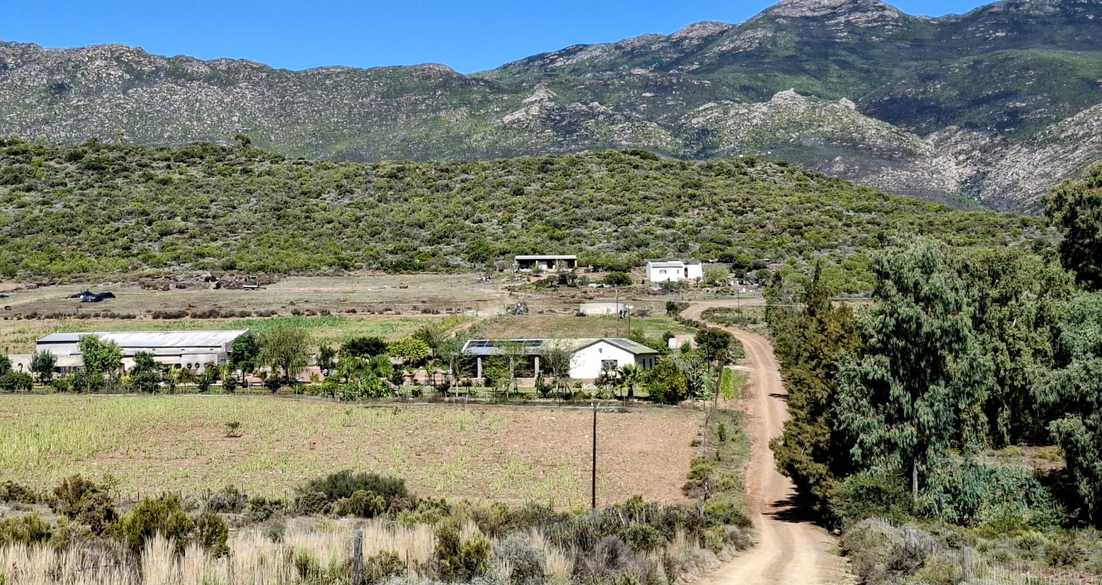 Cape Dutch farmstead against the mountain wall