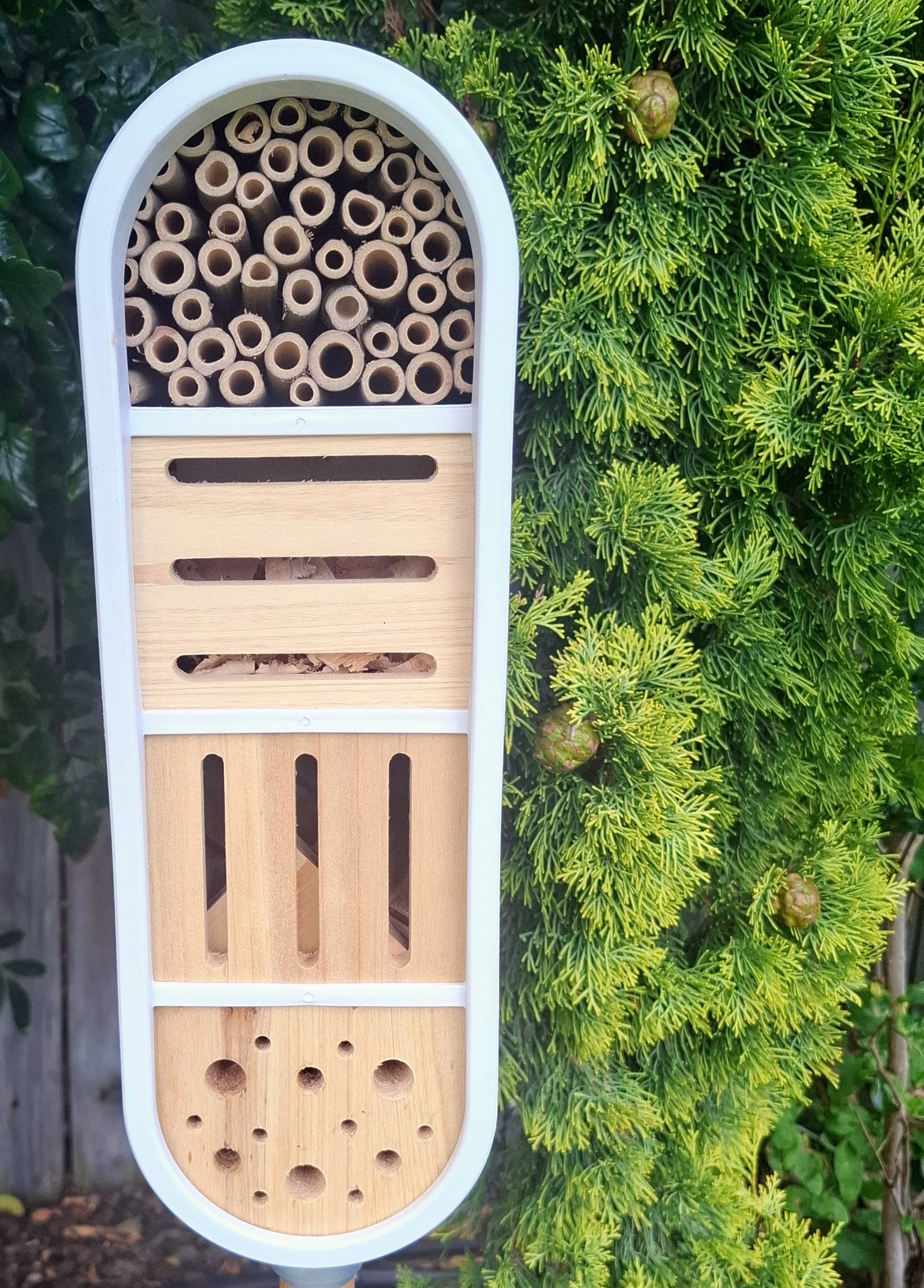 Insect house with bamboo tubes and compartments