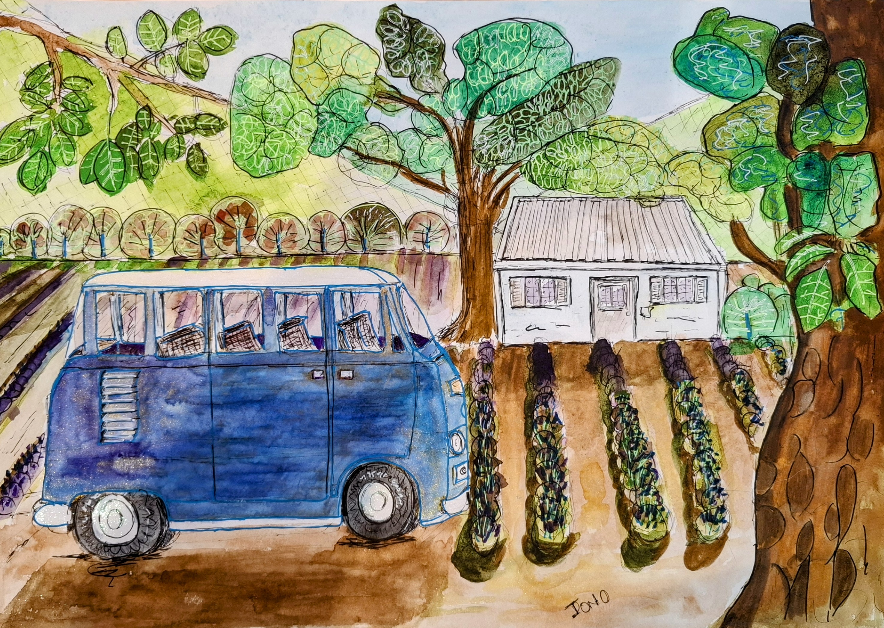 Lavenders Franschhoek